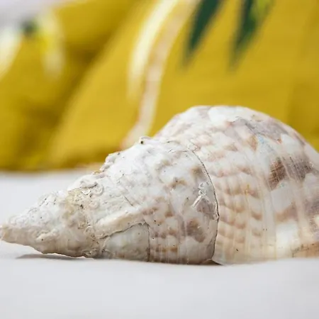 La Esquinita Castillo del Romeral